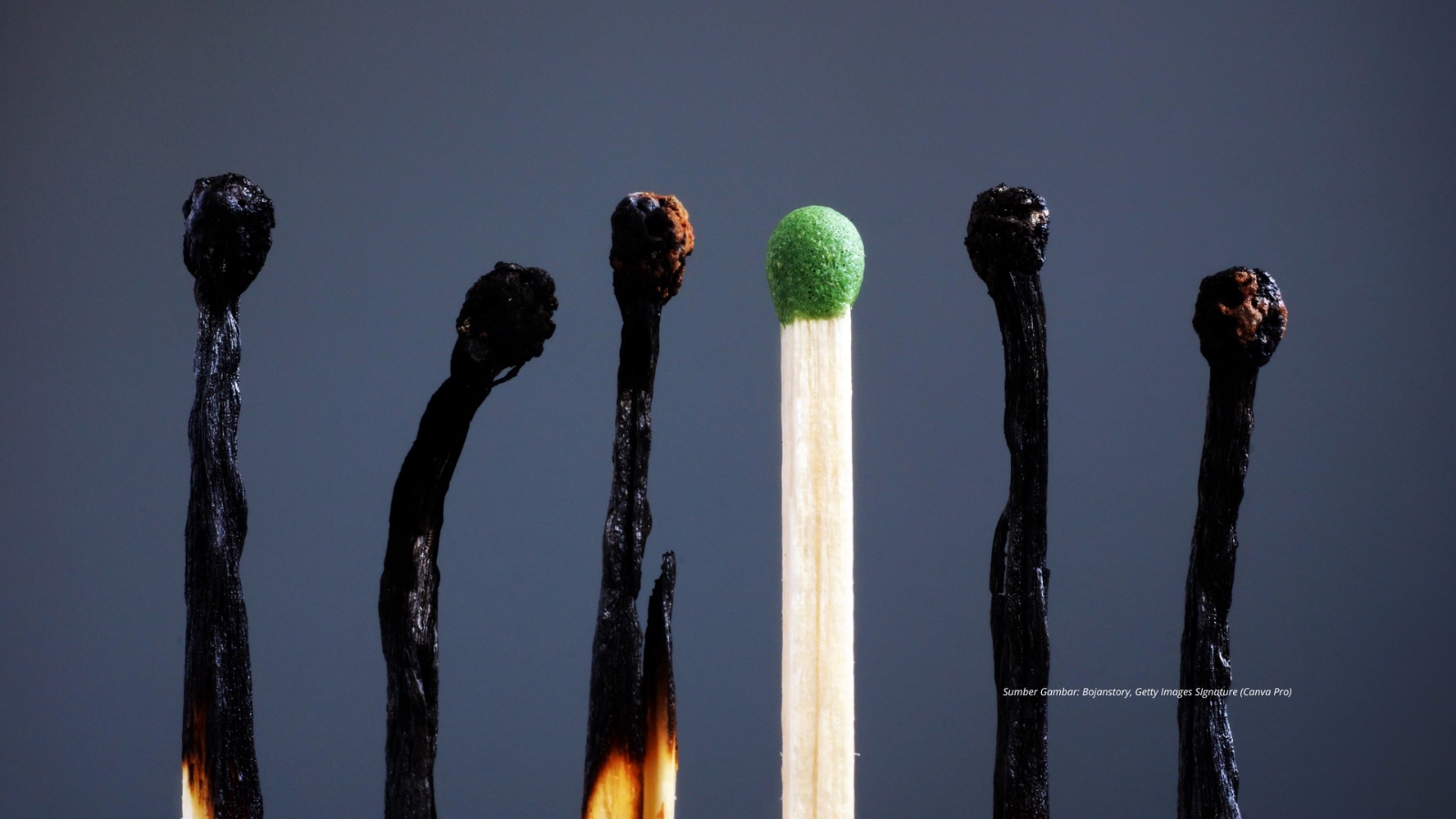 Mental Overload & Burnout